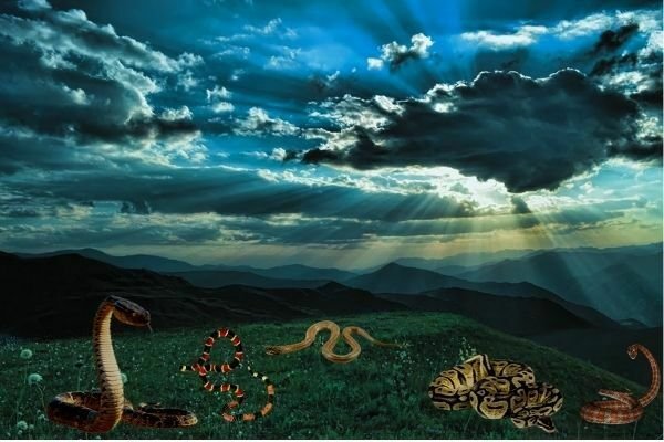 Leyenda de Tabasco de cómo surgieron las serpientes en el mundo