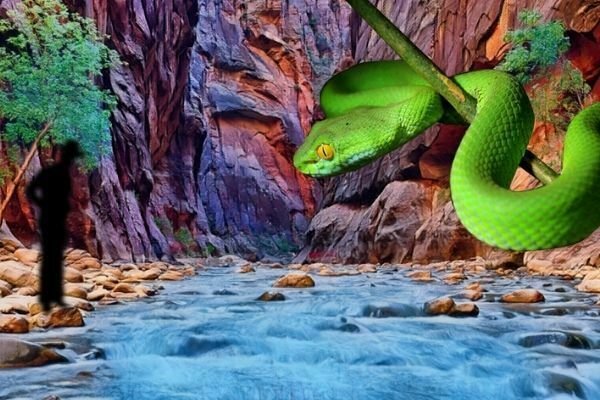 Leyenda de Oaxaca de la serpiente del agua